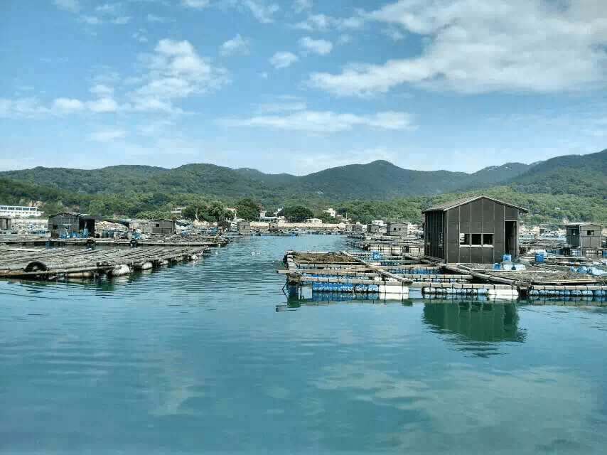 百奥家庭互动（广州百田）
